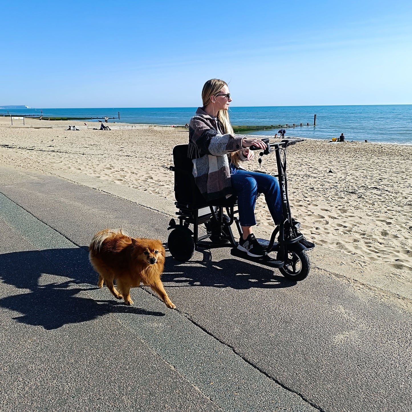 SCOTE-48350 Folding Mobility Scooter 3 Wheel Li-ion Dual Motor 700W, 20 Miles Range