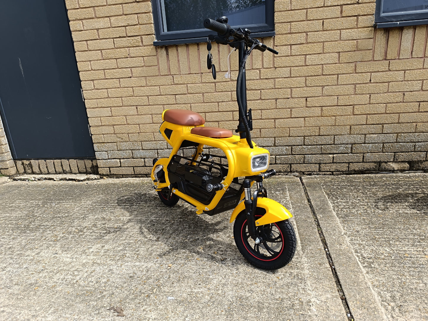 Folding Electric Scooter With Pet Cage