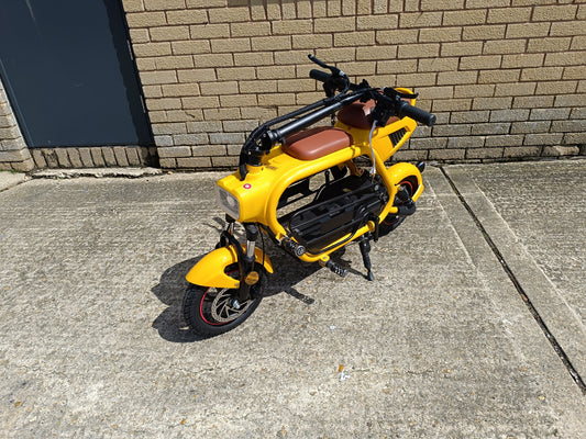 Folding Electric Scooter With Pet Cage ES299