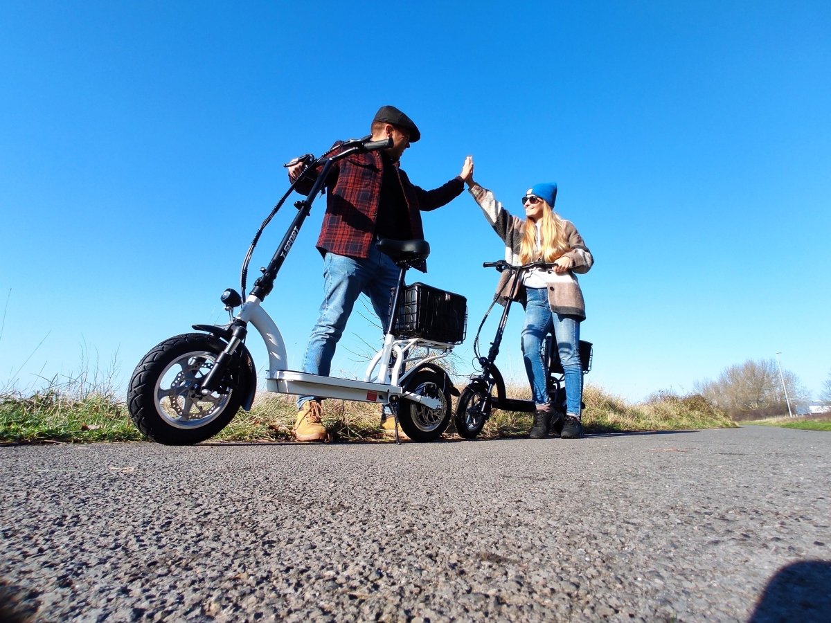 Electric Scooter With Seat And Basket Folding Adult 10AH 350W White i43