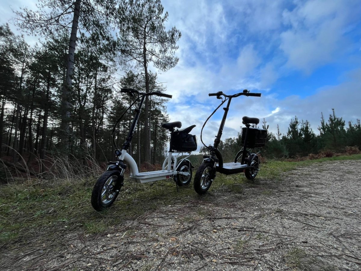 Electric Scooter With Seat And Basket Folding 10AH 350W Black i43