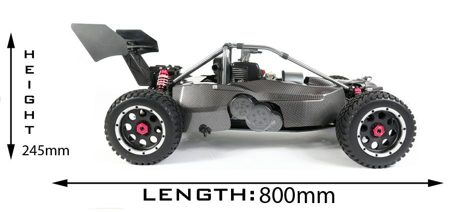 Reely Carbon Fighter III 1:6 RC Car Gasoline Buggy Rear Wheel Drive RTR  2.4GHz